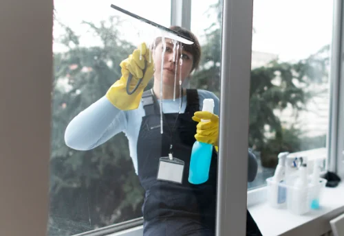 Nettoyage de vitres intérieures et extérieures à la Roche-Blanche